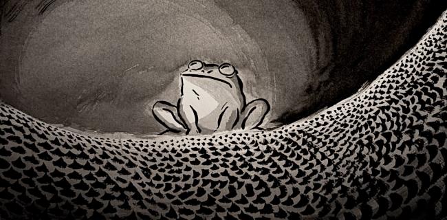 Sammakko istuu käärmeennahan päällä katsoen ylöspäin